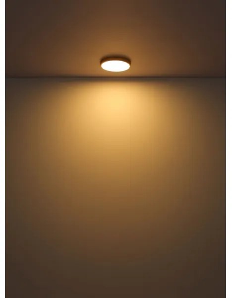 Plafonieră LED TIBEY LED/22W/230V d. 35 cm Globo 12381-22
