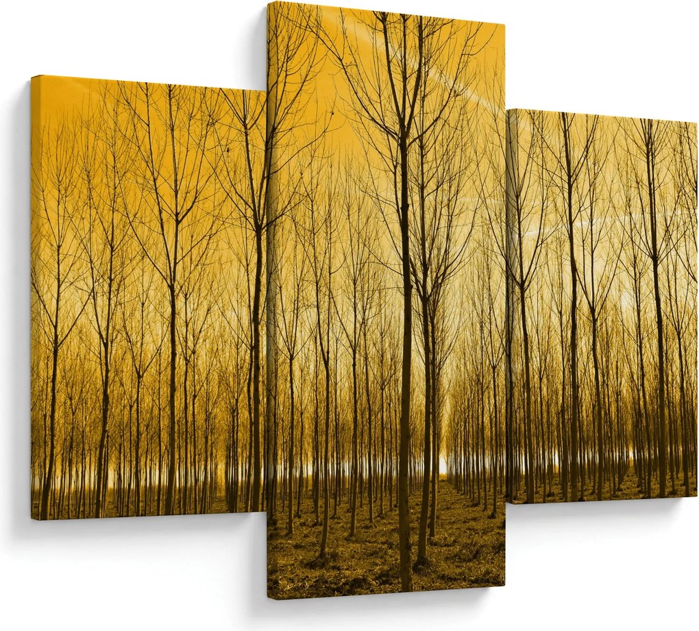 Tablou cu pădure în apus de soare (90x60 cm)