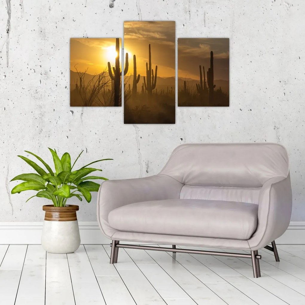Tablou - Cactuși Saguaro (90x60 cm)
