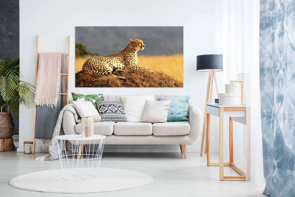 Tablou canvas Ghepardul privind - 120x80cm