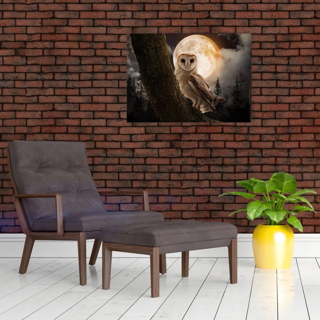 Tablou cu bufnița (70x50 cm)