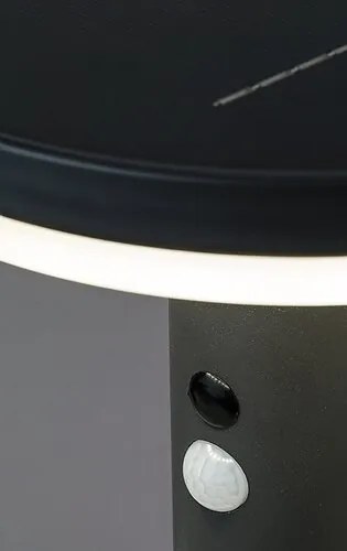 Aplica LED solara cu senzor iluminat exterior IP44 Alaska