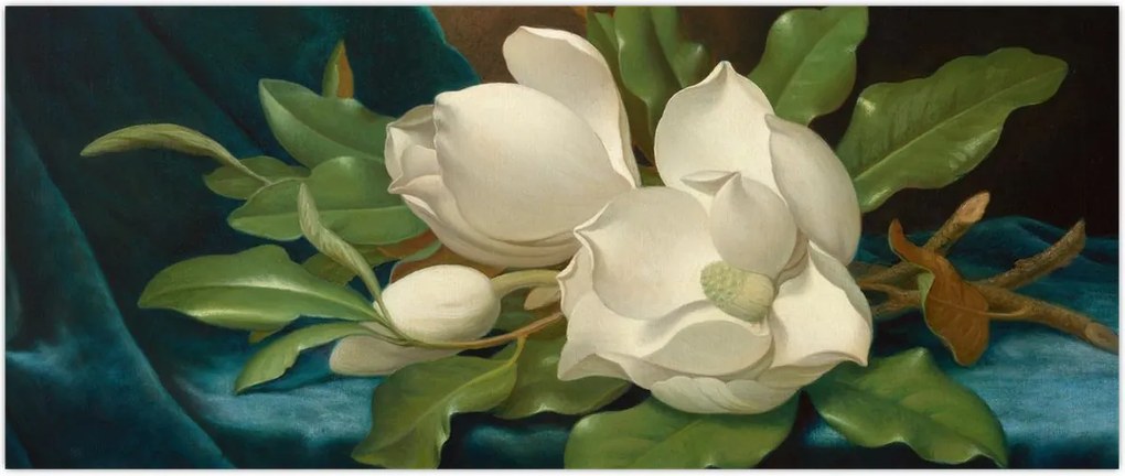 Tablou - Martin Johnson Heade, Giant Magnolias on a Blue Velvet Cloth, reproducere (120x50 cm)