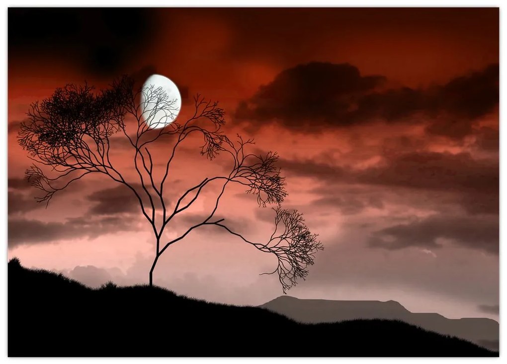 Tablou pe sticlă - Luna luminează noaptea (70x50 cm)