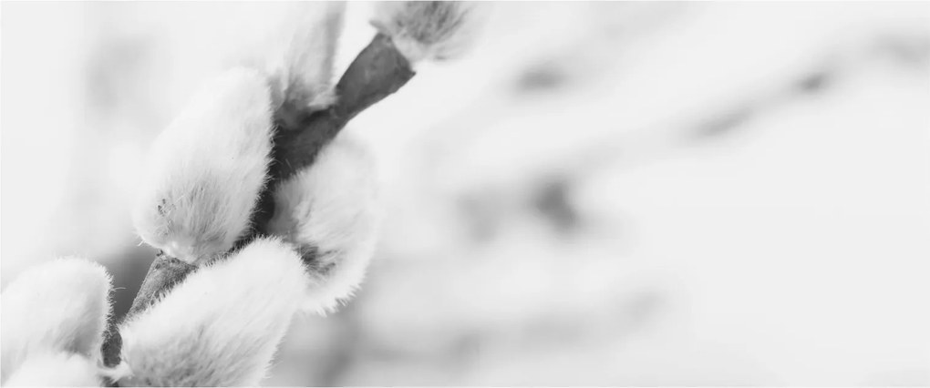 Tablou - Începutul primăverii (120x50 cm)