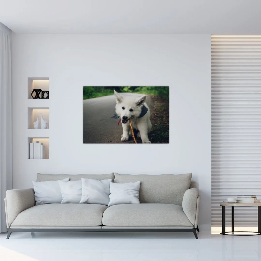 Tablou cu câinele alb (90x60 cm)
