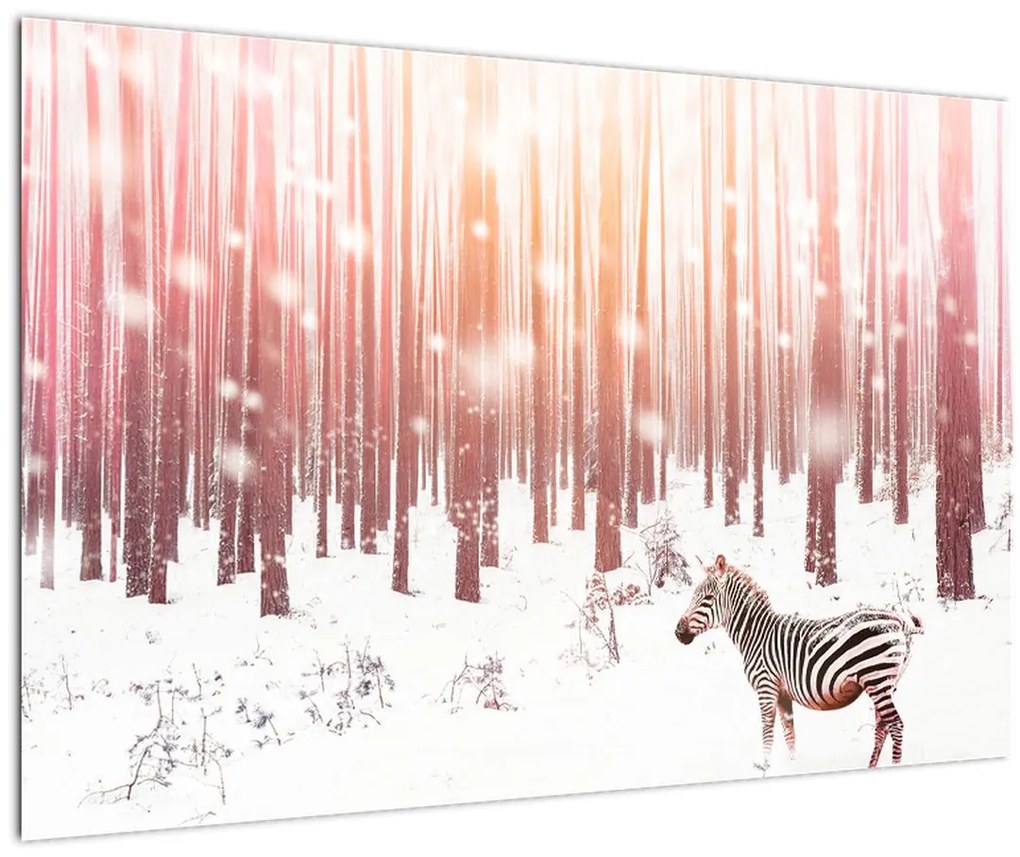 Tablou - Zebra în pădurea înzăpezită (90x60 cm)