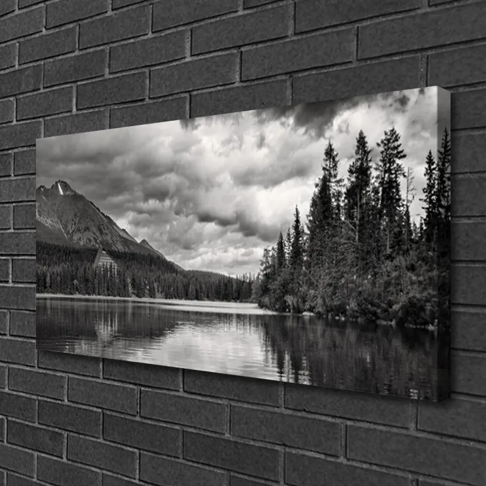 Tablou pe panza canvas Mountain Forest Lake Nature Gray