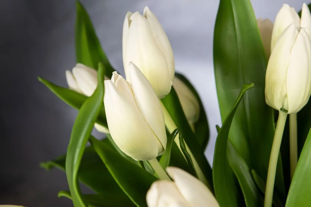 Aranjament floral mediu design LUX SQUARE TULIP