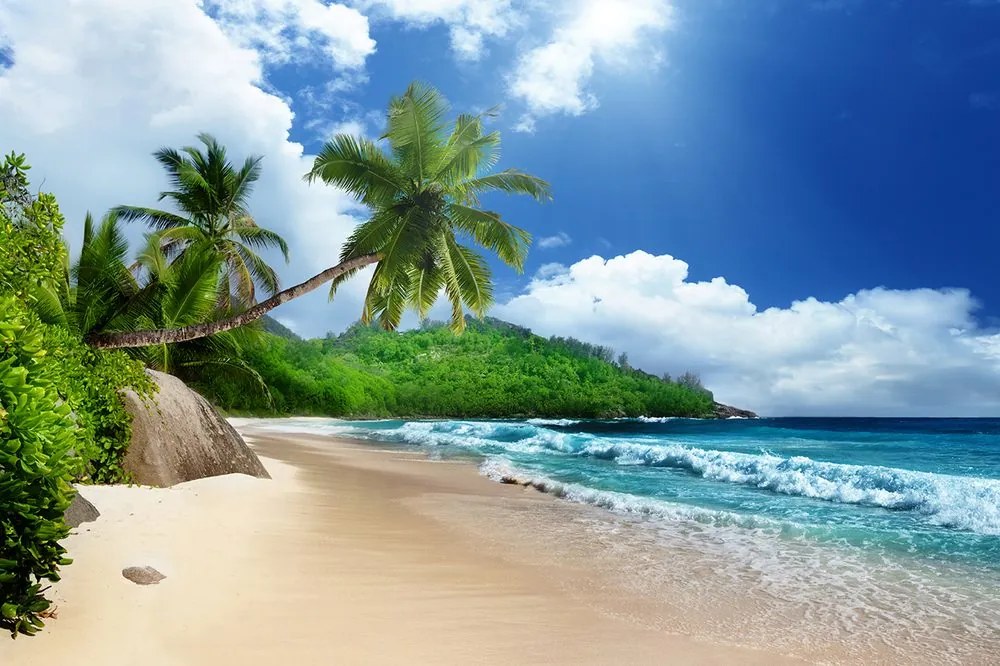 Fototapet autoadeziv plajă frumoasă pe insula Seychelles