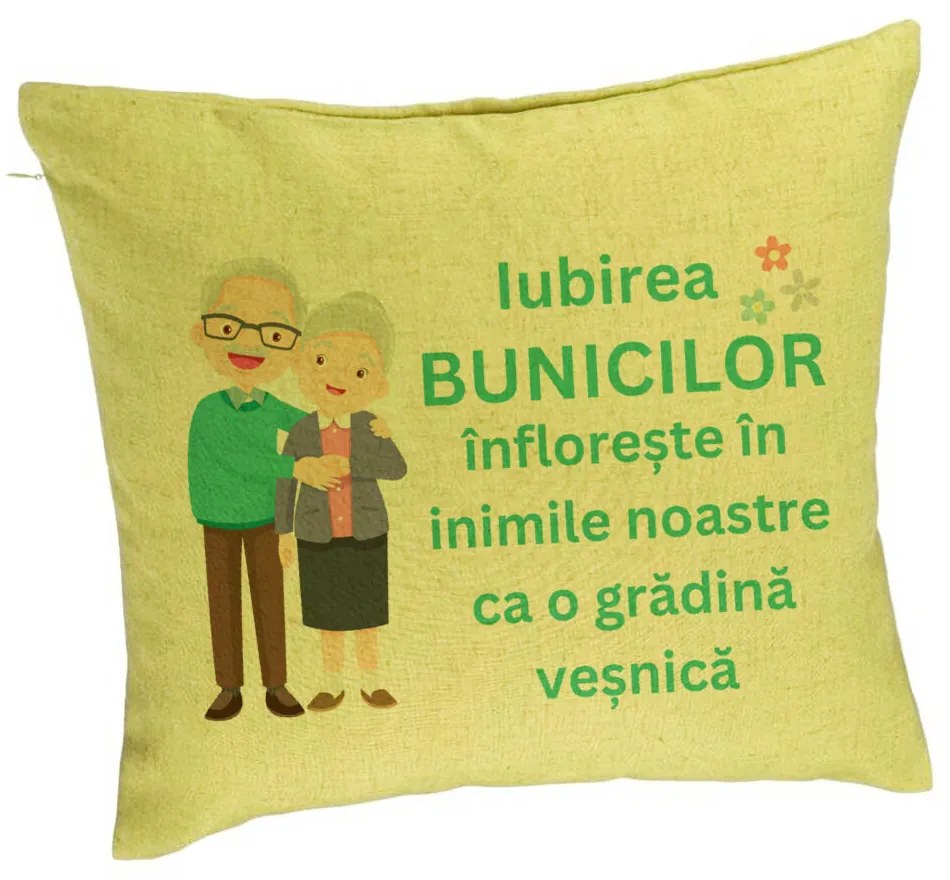 Perna Decorativa pentru Bunici 5, 40x40 cm, Verde, Husa Detasabila, Burduf