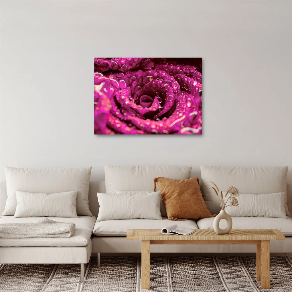 Tabloul cu floarea trandafirului roz (70x50 cm)