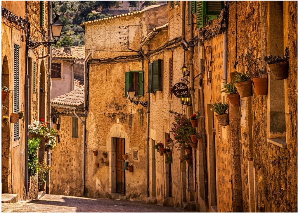 Tablou - Strada din Spania (70x50 cm)