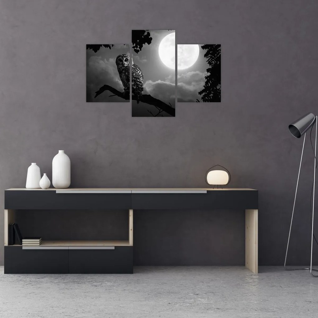 Tablou - Bufniță de noapte, alb și negru (90x60 cm)