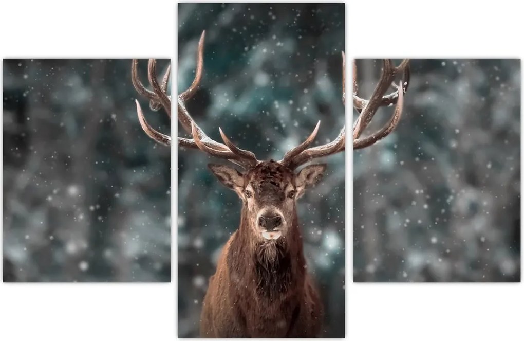 Tablou - Cerbul majestic (90x60 cm)