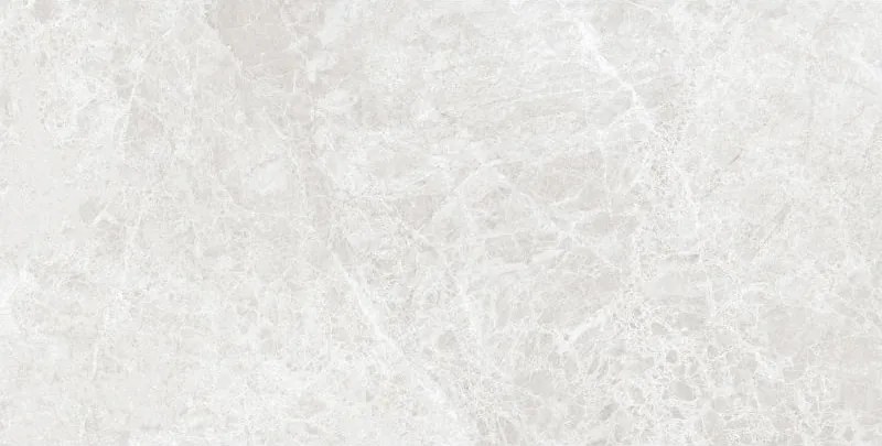 Mexen Lizard Silver gres lucios rectificat G1, placă de pardoseală și perete 120 x 60 cm, lucios - TL109-120-060-03