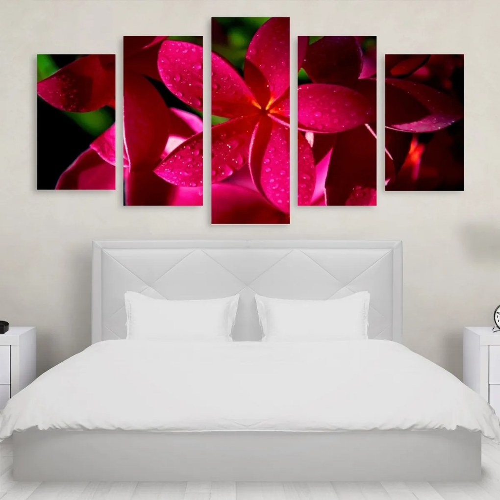 Tablou Multicanvas 5 Pink Flowers 250x120 cm