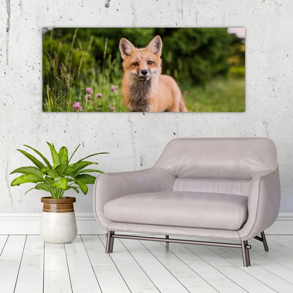 Tablou cu vulpe (120x50 cm)