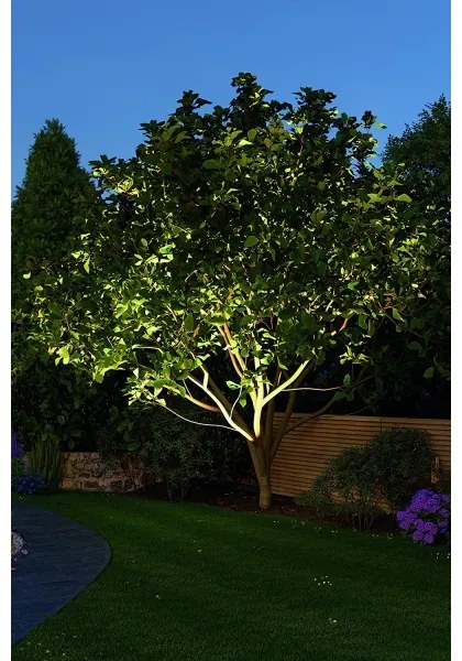 Plafonieră încastrată pentru baie LED/5,3W IP44 HOUSE 230V Paulmann 79668