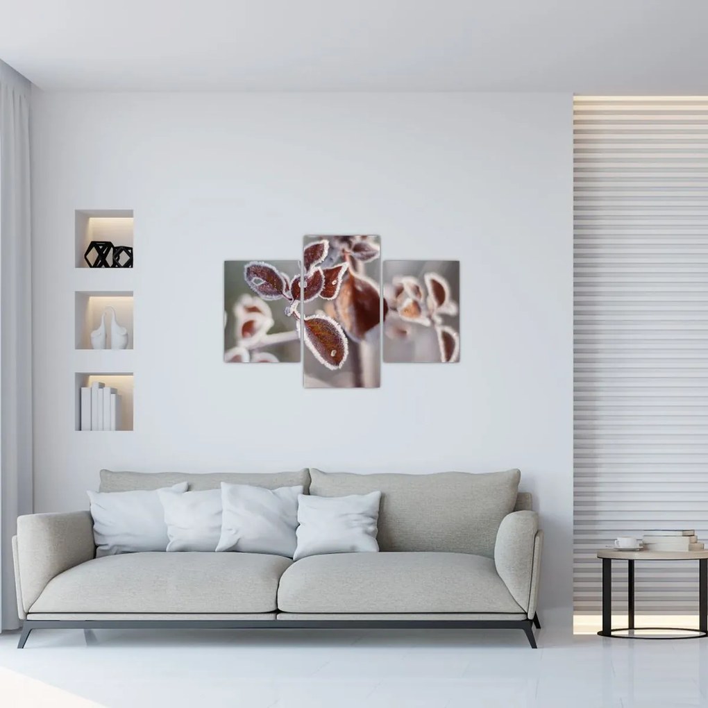 Tablou - Detaliu frunze (90x60 cm)