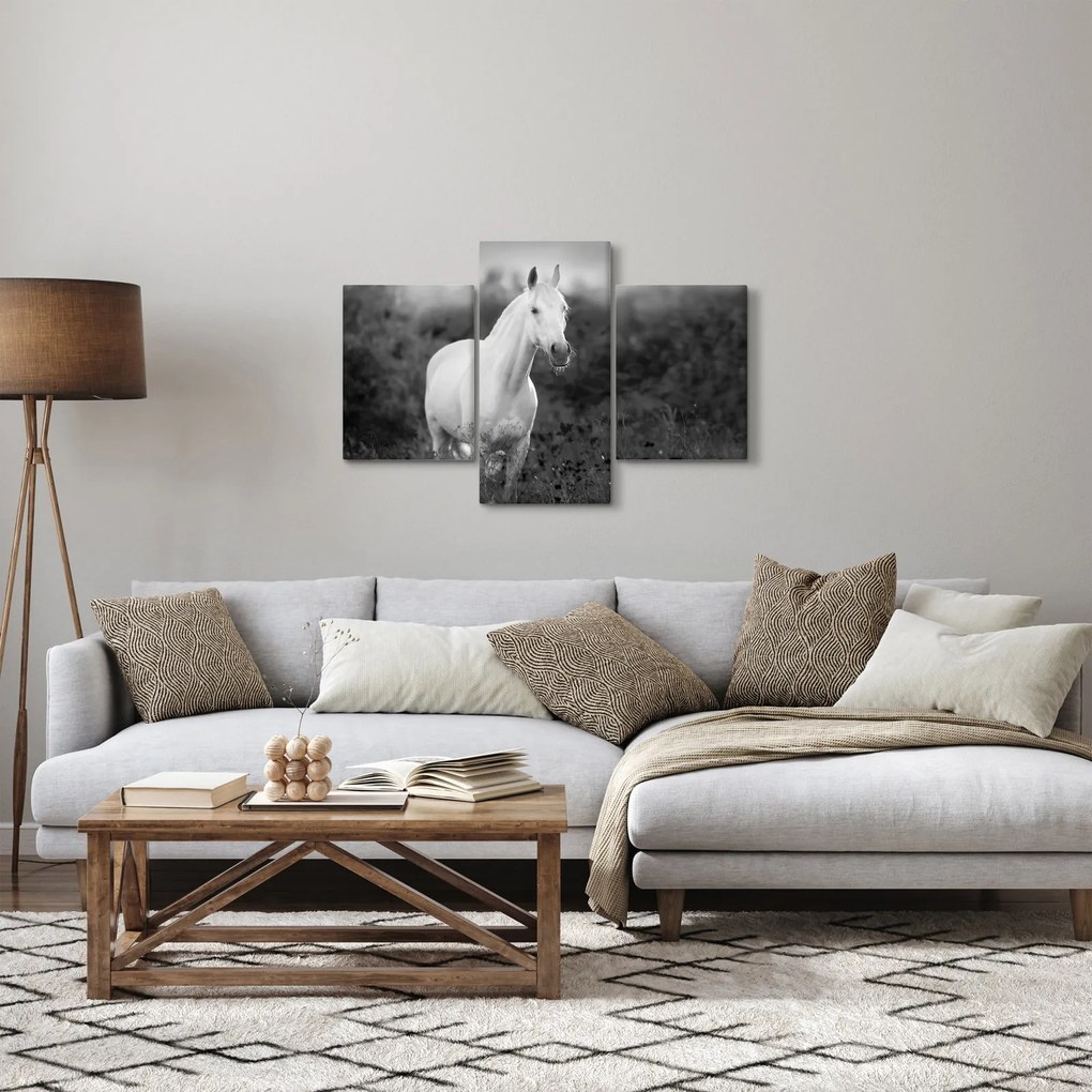 Tablou - Cal alb în poină (90x60 cm)