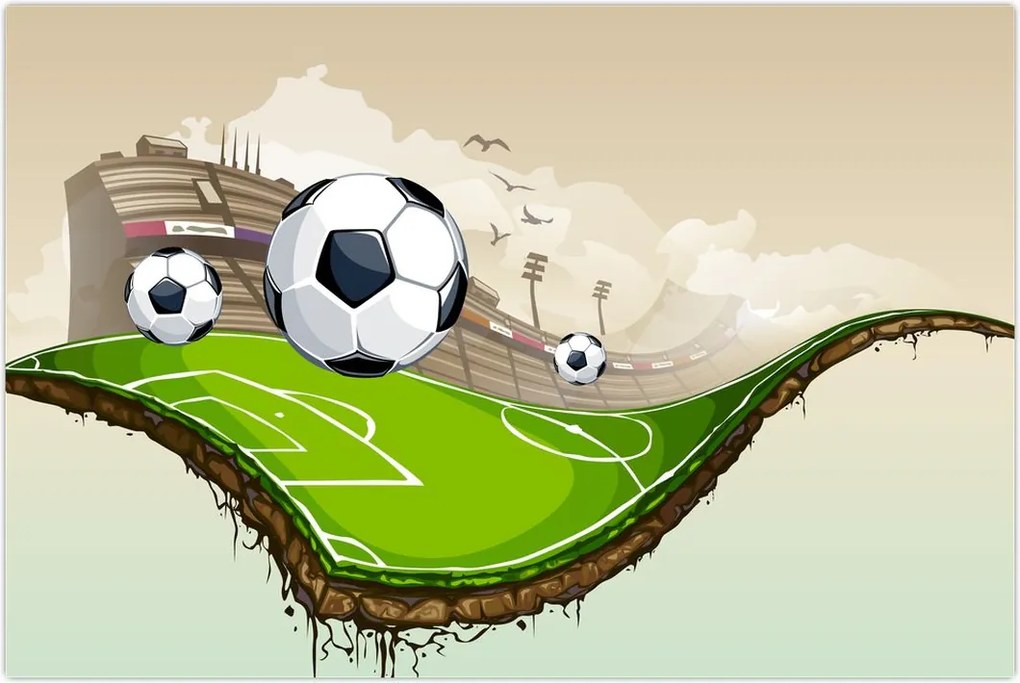 Tablou - Teren de fotbal (90x60 cm)