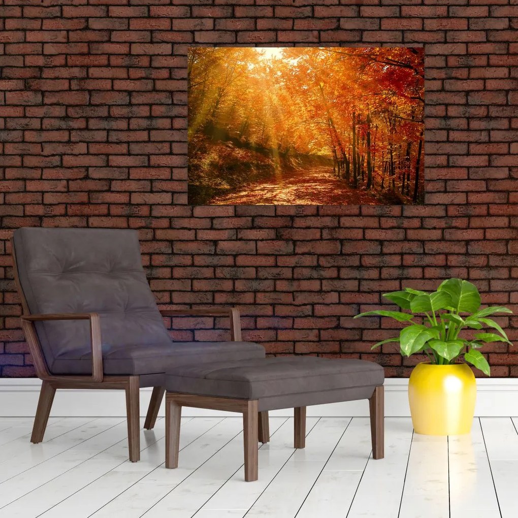 Tablou cu pădurea în toamnă (90x60 cm)