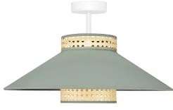 Lustră aplicată RIO Duolla RATTAN 1xE27/15W/230V d. 45 cm verde/ratan