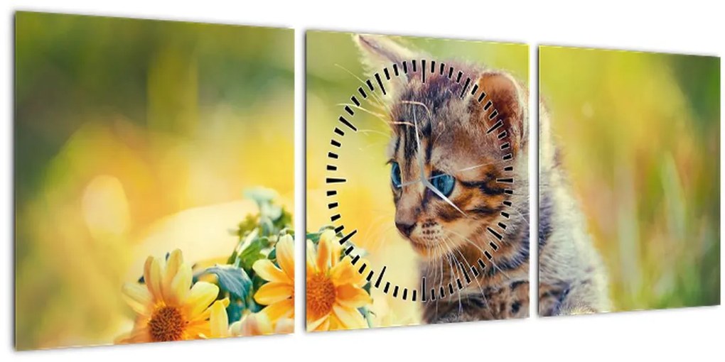 Tablou cu pisicuța uitându-se la floare (cu ceas) (90x30 cm)