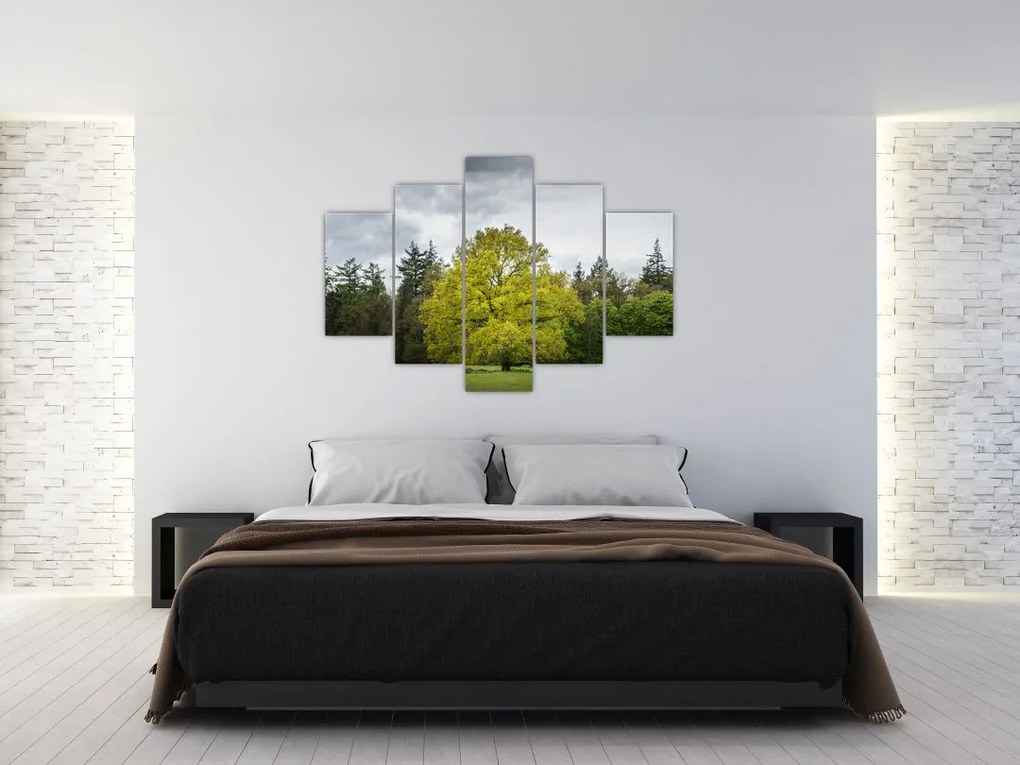 Tablou - Copac verde în câmp (150x105 cm)