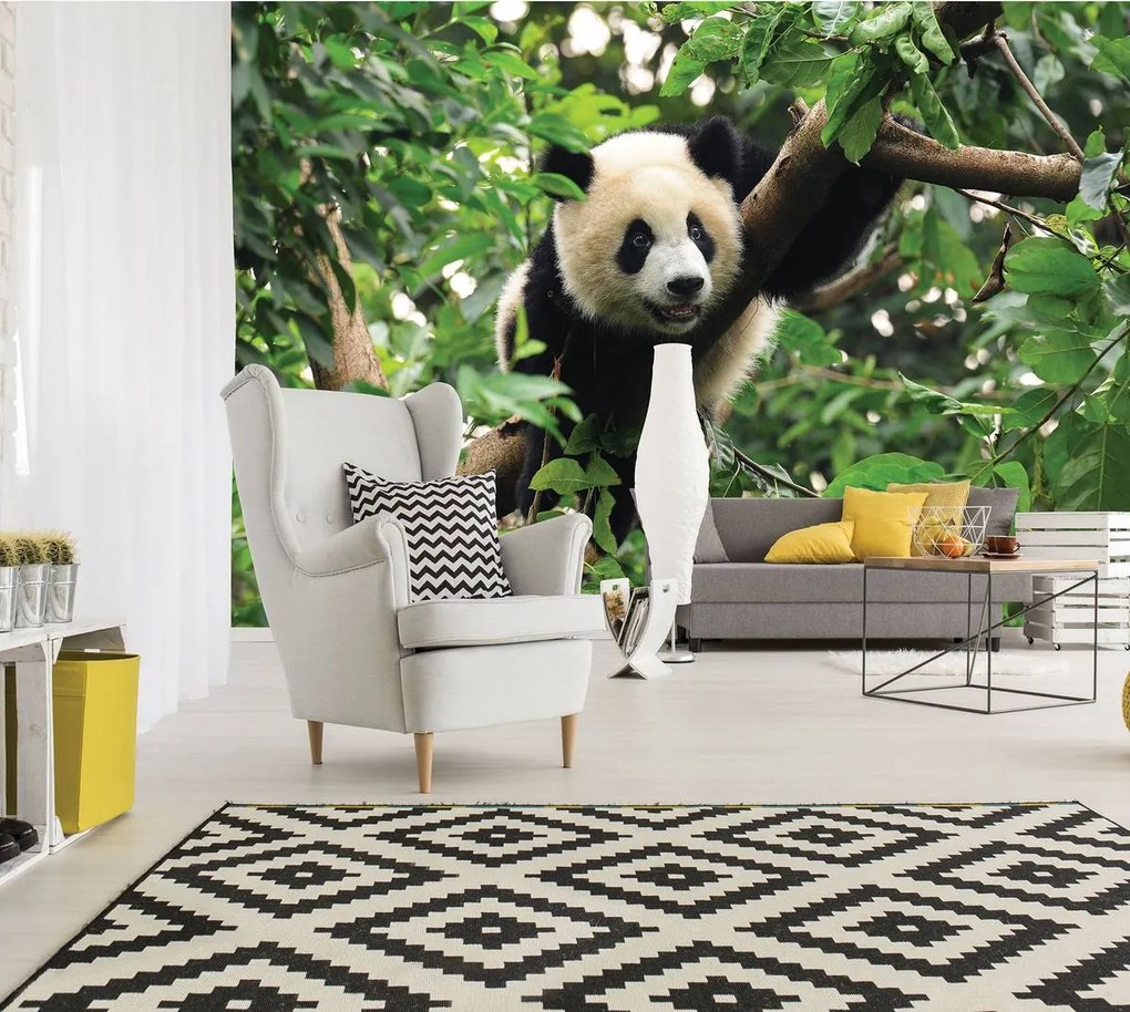 Fototapet - Panda în copac (152,5x104 cm)