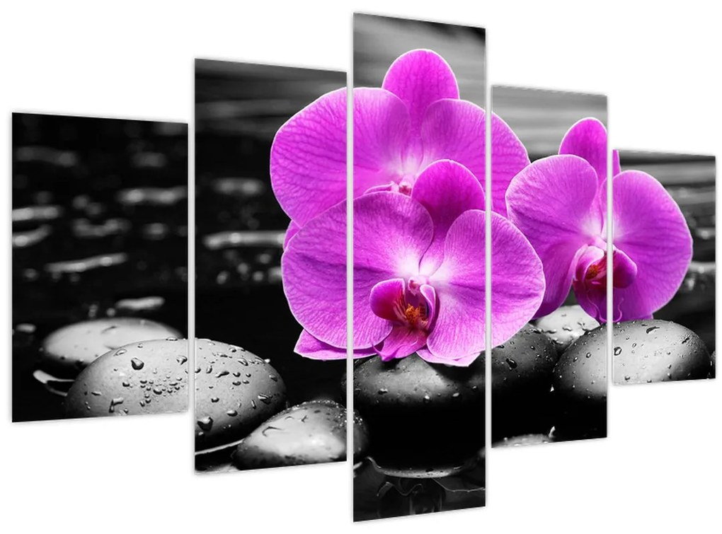 Tablou - Orhidee violet (150x105 cm)