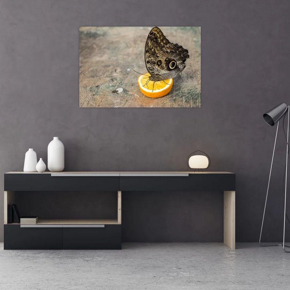 Tablou cu fluturi (90x60 cm)