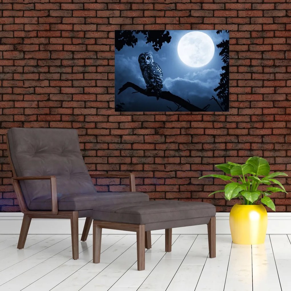 Tablou - Bufnița de noapte (70x50 cm)