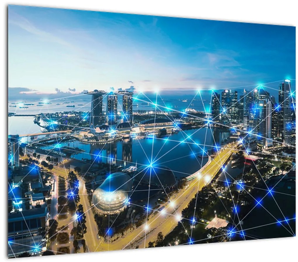 Tablou - Rețeaua orașului (70x50 cm)