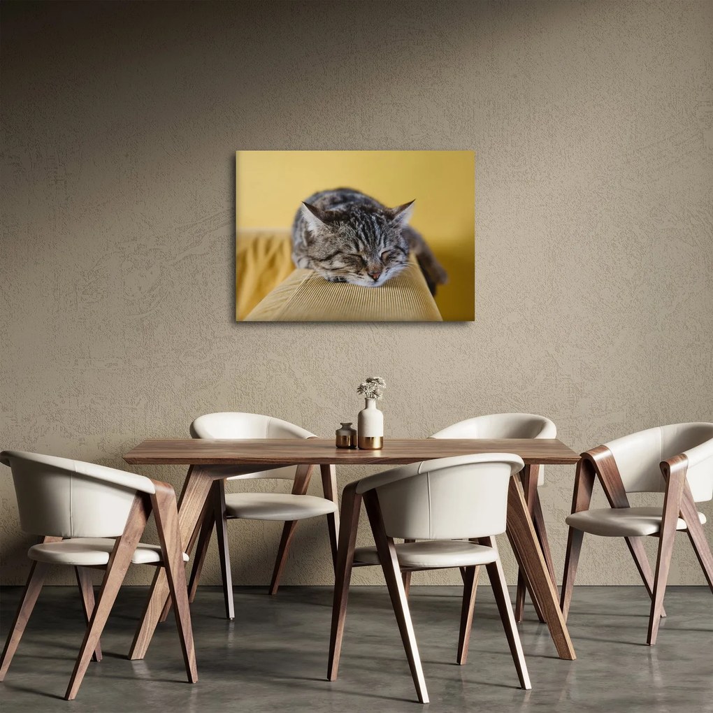 Tablou cu pisica pe fotoliu (70x50 cm)