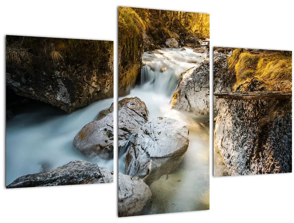 Tablou - Râul din pădure (90x60 cm)