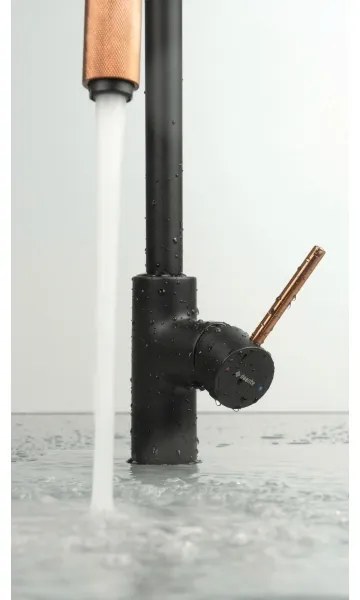 Baterie pentru chiuvetă Deante ASTER BCA_B64M, negru/alamă