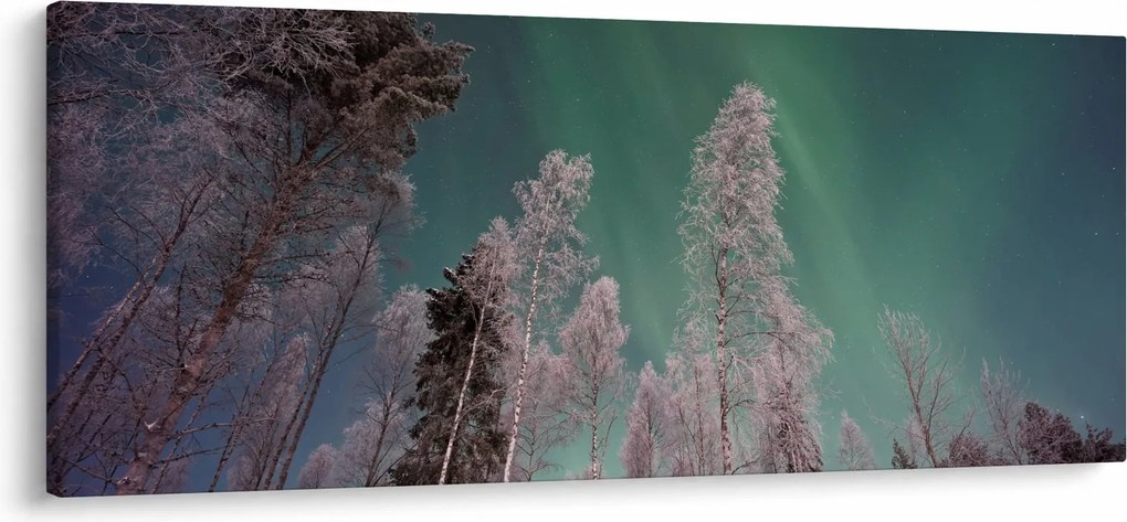 Tablou cu aurora borealis deasupra pomilor înghețați (120x50 cm)