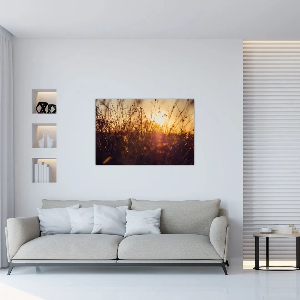 Tablou - Câmp la apus de soare (90x60 cm)