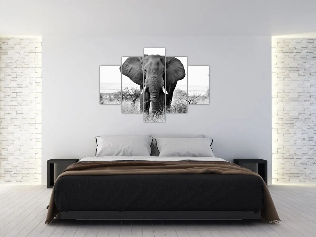 Tablou - Elefantul african II. (150x105 cm)