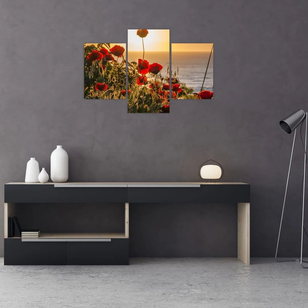 Tablou cu apus de soare cu flori de maci (90x60 cm)