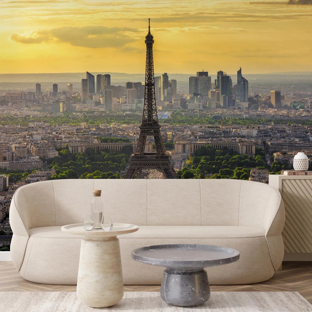 Fototapet - Panorama Parisului (147x102 cm)