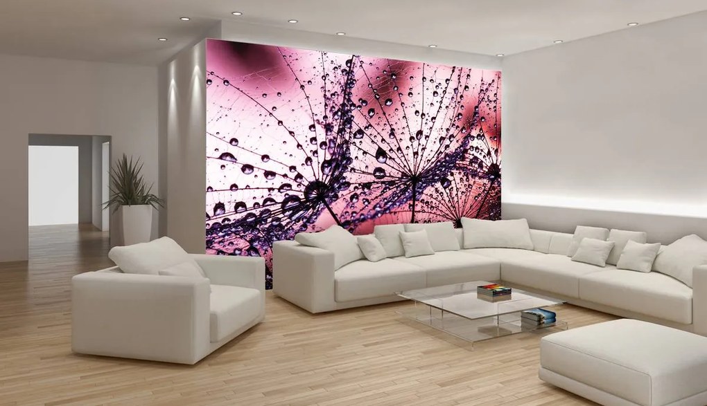 Fototapet - Păpădii - abstracte - violete (152,5x104 cm)