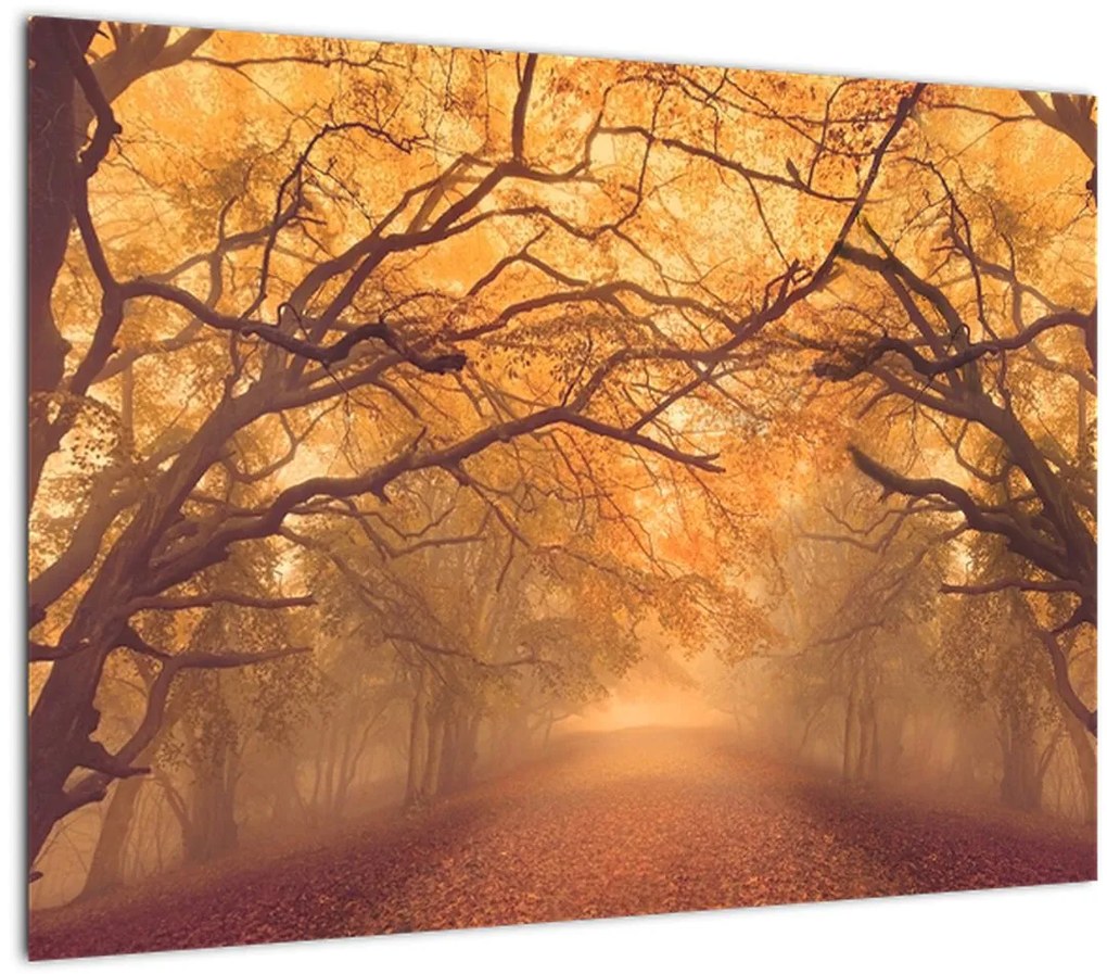 Tablou - Peisaj de toamnă cu drum (70x50 cm)