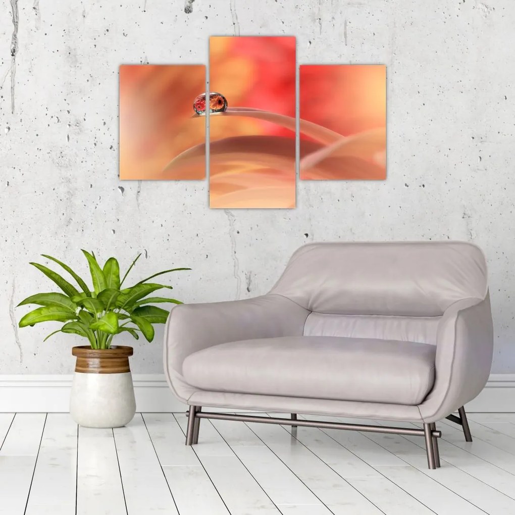 Tablou picăturii de rouă pe floare (90x60 cm)