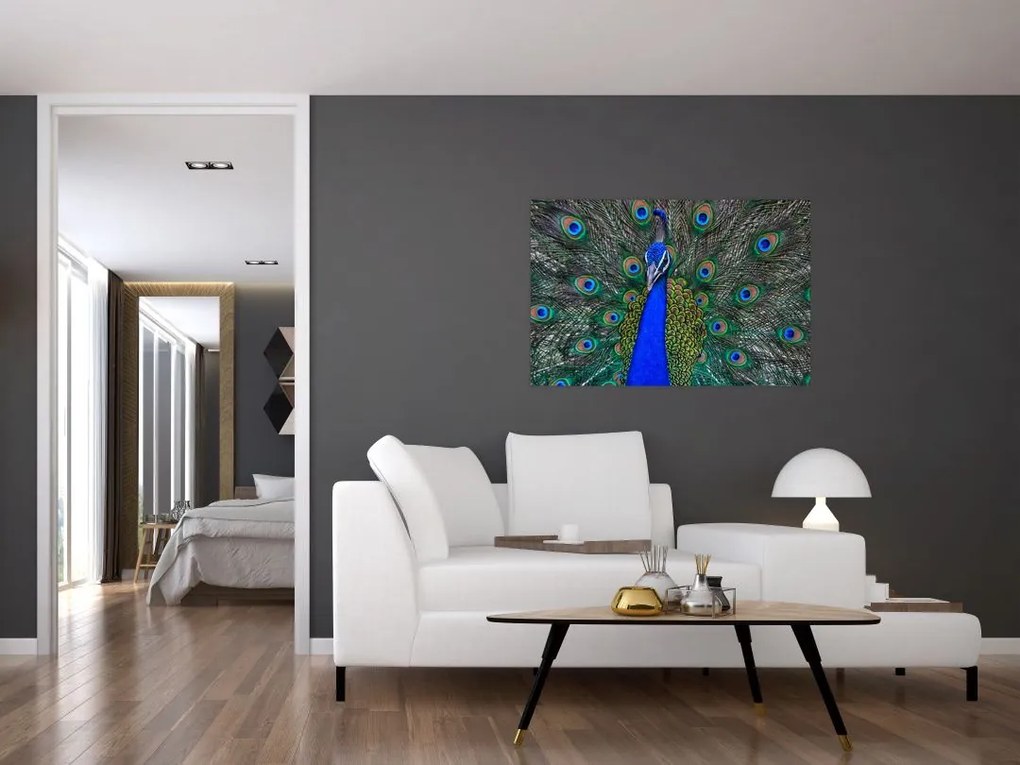 Tablou - Păun (90x60 cm)