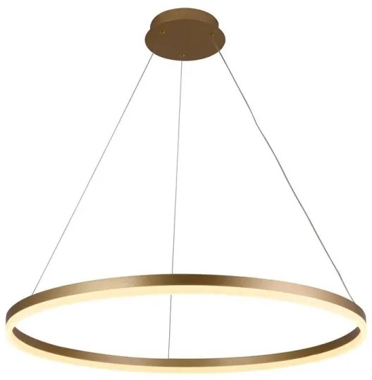 Lustră LED dimabilă pe cablu LED/55W/230V 3000-6500K + telecomandă