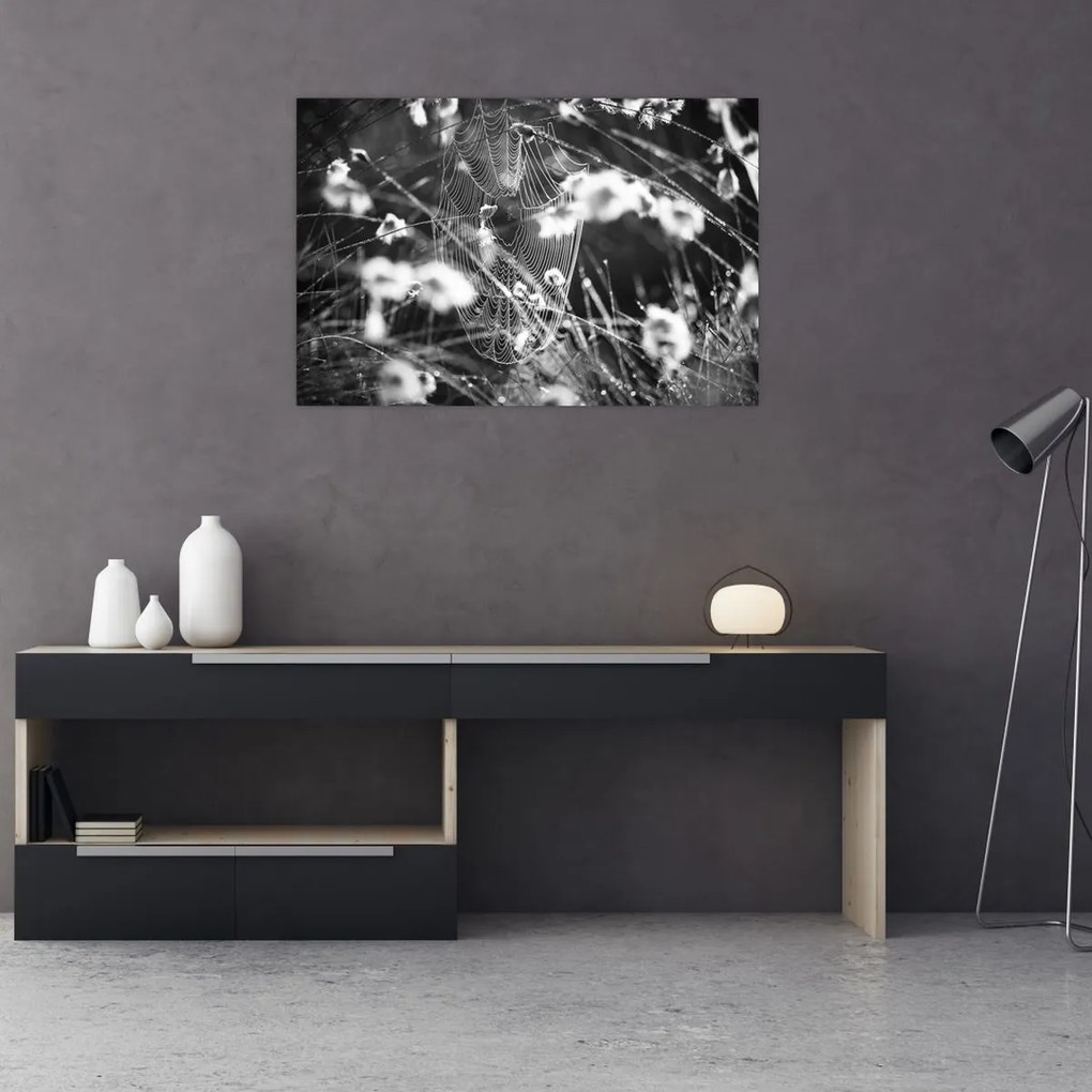 Tablou - Pânza de păianjen în pajiște (90x60 cm)