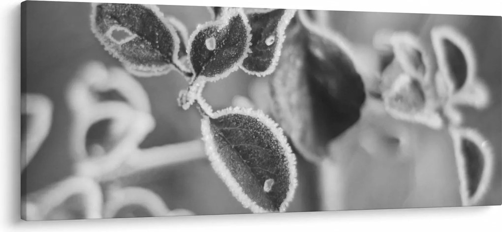 Tablou - Natura în toamnă (120x50 cm)
